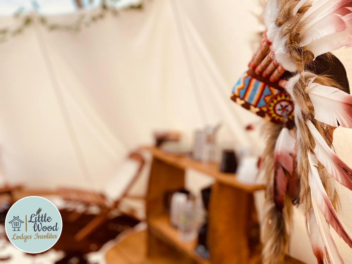 Little Wood Lodges Insolites Bailly-aux-Forges エクステリア 写真